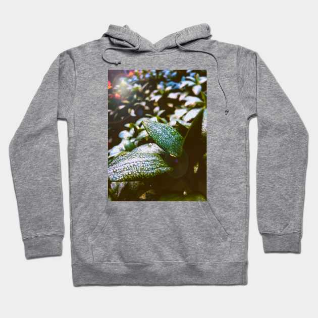 Morning Dew Hoodie by Blondesigns